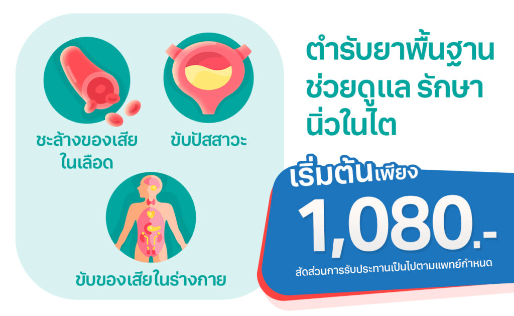 ตำรับยาพื้นฐานรักษา นิ่วในไต